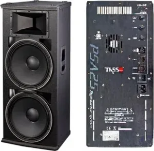 PSA-25